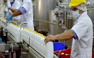 Industriales lácteos apuestan por meta de 1.000 millones de litros pese a caída en la producción