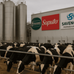 La foto del sector lácteo argentino las multinacionales lideran el mercado y la producción se concentra