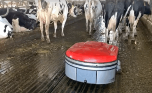 La vaca del futuro ya no pisa bosta