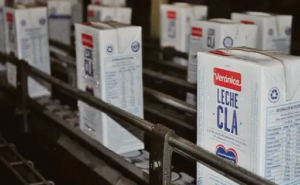 Lácteos Verónica sin rumbo las plantas siguen paralizadas, crece la deuda y no hay plan de reactivación