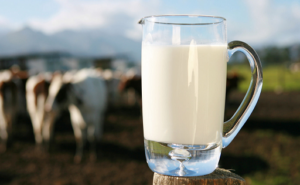 Leche en amarillo precios retrasados, pero mejora el consumo interno y las exportaciones