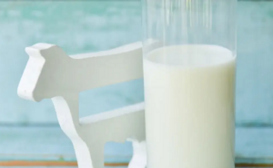 LECHE