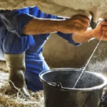 PRODUCTORES LECHE