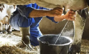 PRODUCTORES LECHE