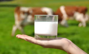 Que no se nos vaya a cortar la leche