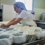 Quesos rescatados sabores españoles que renacen