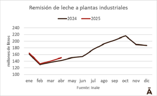 REMISIÓN