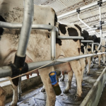 REMISIÓN LECHE