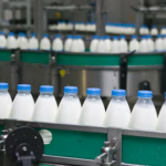 Sector lácteo registra un aumento favorable de producción este 2025