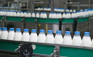 Sector lácteo registra un aumento favorable de producción este 2025