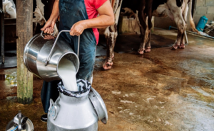 Unión de Uniones critica a la CNMC por avalar abusos en la leche