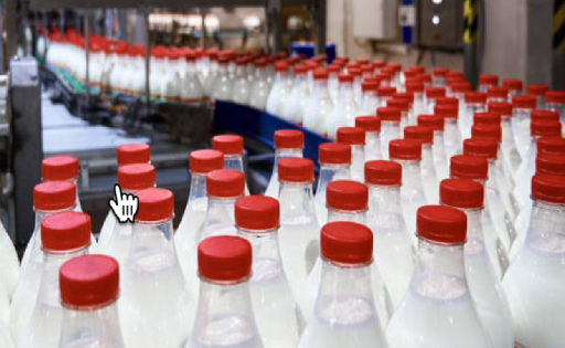 Achacachi impulsa seguridad alimentaria con nueva planta