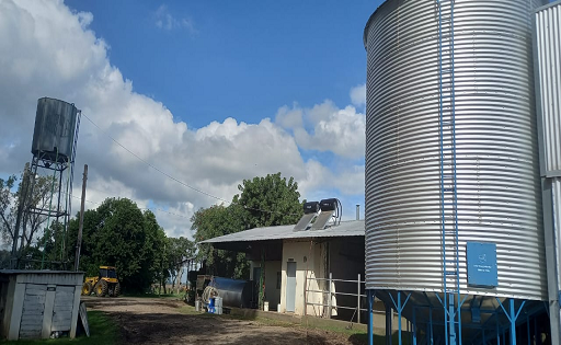 Leche Orgánica La Intimidad de una Producción para Nestlé