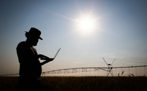 Así será la producción agropecuaria argentina del futuro