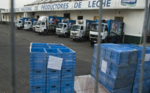 CONAPROLE: Tensión en Aumento por Falta de Diálogo
