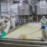 Chile consumo de quesos, yogur y leche fluida sigue en alza