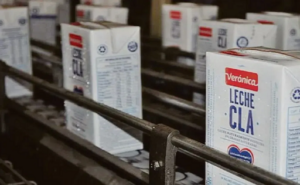 Crisis láctea argentina Verónica bloqueada, SanCor renace
