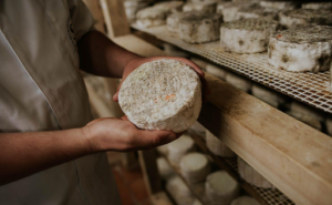 El queso Camerano alcanza 45.000 kg anuales