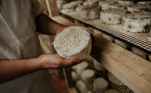El queso Camerano alcanza 45.000 kg anuales