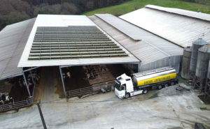 Entrepinares eleva el precio base de la leche hasta 2026