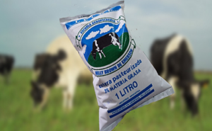 Escuela agro de Villegas produce leche sachet a $1.000