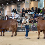 Eventos ganaderos imperdibles en Agroexpo 2025