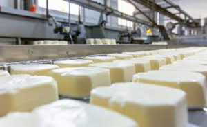 Exportaciones de lácteos salvan ingresos pese a caída