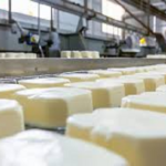 Exportaciones de lácteos salvan ingresos pese a caída