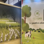 Fedegán rediseña la ganadería colombiana en Agroexpo 2025