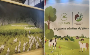 Fedegán rediseña la ganadería colombiana en Agroexpo 2025