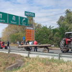 Ganaderos del Tolima alertan impacto por paro arrocero