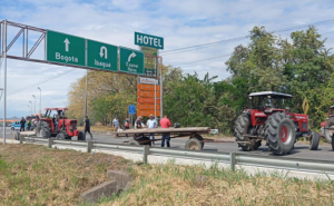 Ganaderos del Tolima alertan impacto por paro arrocero