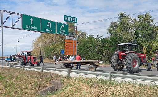 Ganaderos del Tolima alertan impacto por paro arrocero