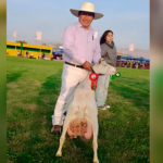 La cabrita lechera de 5 animales a una granja modelo en Tacna