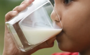 Leche colombiana entre mitos, dudas y desinformació