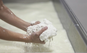 Leche de Cabra Orgánica Cuesta 40% Más