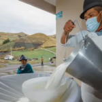 Productores de Ecuador venderán leche sin intermediario