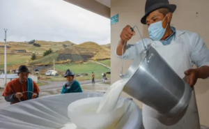 Productores de Ecuador venderán leche sin intermediario