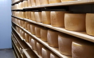 Sector lácteo uruguayo alerta por productos que imitan quesos