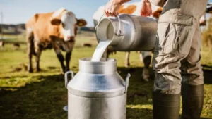 Alertan por adulteración de leche con lactosueros
