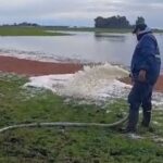 Bronca en el campo productor tiró 2000 litros de leche