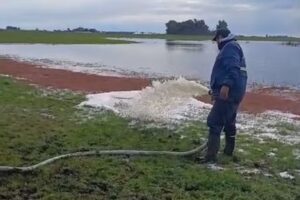 Bronca en el campo productor tiró 2000 litros de leche