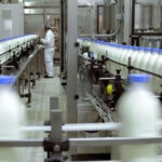 Chile mejora sus indicadores lacteos con fuerte alza en quesos y valor agregado