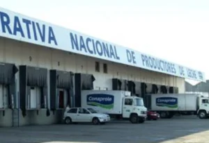 Conaprole denuncia pérdida de 69.000 kilos de suero