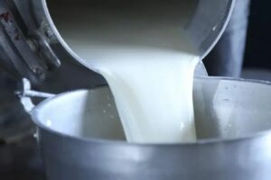 Crisis lechera en Córdoba y Sucre dispara informalidad
