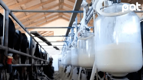 Fedeple en emergencia advierten desabastecimiento de leche