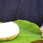 Ganaderos de Santander producen su propio queso