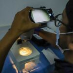 INIA autorizado para producir semen caprino de calidad