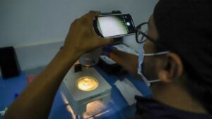 INIA autorizado para producir semen caprino de calidad