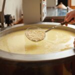 Innovación láctea en Colombia fermentación y calidad